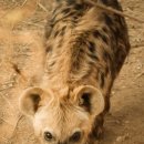 SAP | 서울대 SAP (Study Abroad Program) 신청 후기