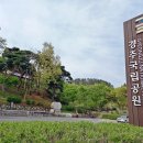 남산금오마을 이미지