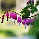 목행초등학교 이미지