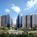 신정공원_R 이미지