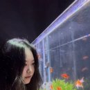 대전 멍택시 이미지