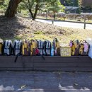 바다소식 이미지