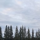 카페보스 수유점 | 추석연휴 푹 쉬며 즐긴 카페 &amp; 영화 나들이 후기