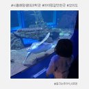 큰숲어린이집 | 시흥 오이도 해양생태과학관 아기랑 갈만한곳 예약 가격 주차