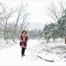 단혜 이미지