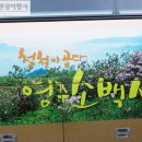새천년여행사