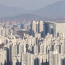 강남-029 이미지