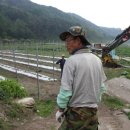 거창-가북-2 이미지