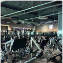 머슬피플 | 청라3동에서 다녀온 300평대 프리미엄 헬스, 머슬피플 후기