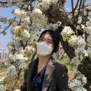 배꽃근린공원 이미지