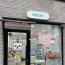 댕댕로망스 이미지