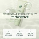 (GD)골드밸런스 인셀덤 | 피부 열감 내리는 인셀덤 카밍젤 활용법, 5대 자극 완화와 수분 밸런스 한 번에 잡기