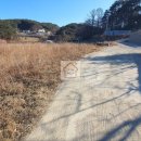 사임당로(1) 이미지