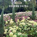 [보성/숲정원 윤제림] 7월 수국 명소 윤제림 방문 후기 | 주차, 입장료, 입장시간, 코스
