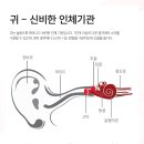 99유럽보청기 이미지