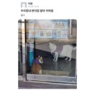 우리동네편의점 이미지