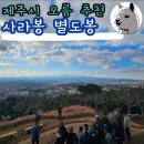 (주)광양기업 | 제주시 오름 추천 사라봉 별도봉 애기업은돌 후기