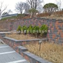 (주)소모홀딩스엔테크놀러지 이미지