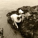 더바다앤 이미지