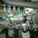 강원브란자 이미지