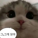 [공지] [WD 03-결혼] 현역 군인과의 결혼준비 - 웨딩홀 서치