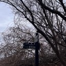 지리산 | 지리산 바래봉 등산 후기