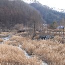 [강원도 횡성군] 신대리야영장(주식회사 태기산마을 농업회사법인)