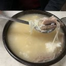 신사 설렁탕 맛집, 영동설랑탕 [막차의 추억이 가득한 오래된 24시간 강남 설렁탕 맛집]