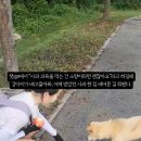 김천소방서(아포119안전센터) 이미지