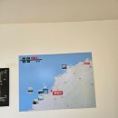 (주)제주도스쿠터여행사 | 협재 전기스쿠터 추천! 아이와 함께 제주도 전기스쿠터 타고 월령포구까지 다녀온 후기