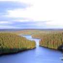 장미별장여관 이미지