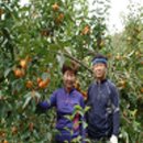 산천농장 이미지