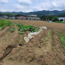 자연공인중개사합동사무소 이미지