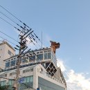 통영거북선호텔 이미지