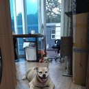 펫츠올 동물의료원 이미지