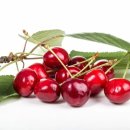 만식농장 이미지