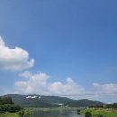 탄금야구장 이미지