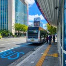 시청 앞 버스정류장 이미지