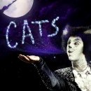 (공연) 캣츠 오리지널 내한공연3 이미지