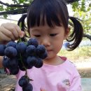 수민농장 이미지