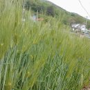 해달별펜션 이미지