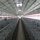 금산축산 이미지