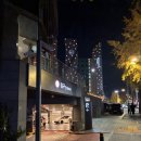 쉐라톤 호텔 부근 | [강남 호텔 추천] 포포인츠 바이 쉐라톤 서울 강남 호캉스 내돈내산 후기!