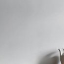 룸테리어