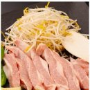 진돈 이미지