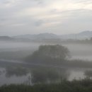 달맞지