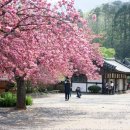 (주)사람과풍경 이미지