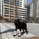 여울동물병원 이미지