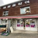 대왕곰장어