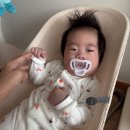 세운세탁 | 베이비뵨 바운서 언제까지? 6개월 실사용 후기｜당근 중고 구매팁·세탁·사용시기